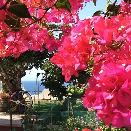 Residenza Stefanelli Apartment Capo Vaticano