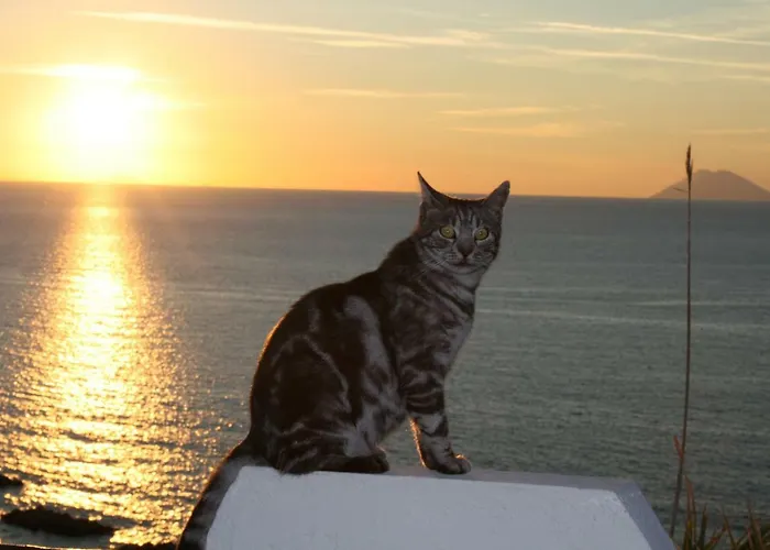 Residenza Stefanelli Apartamento Tropea